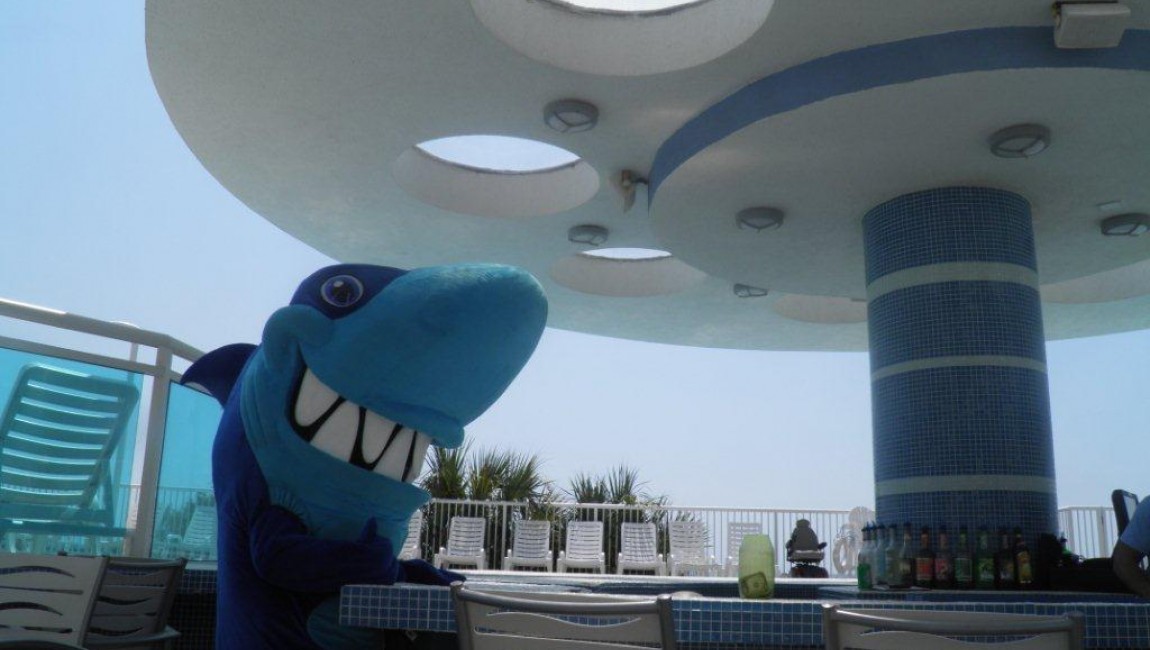 Salty the Friendly Shark: An Interview with hotel BLUE image thumbnail